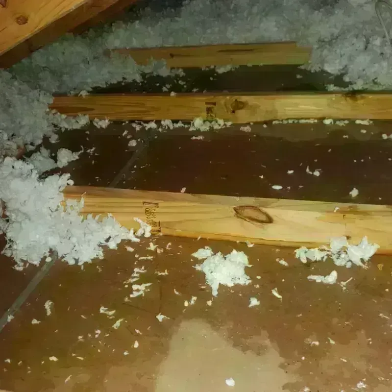 Attic Water Damage in Monrovia, IN